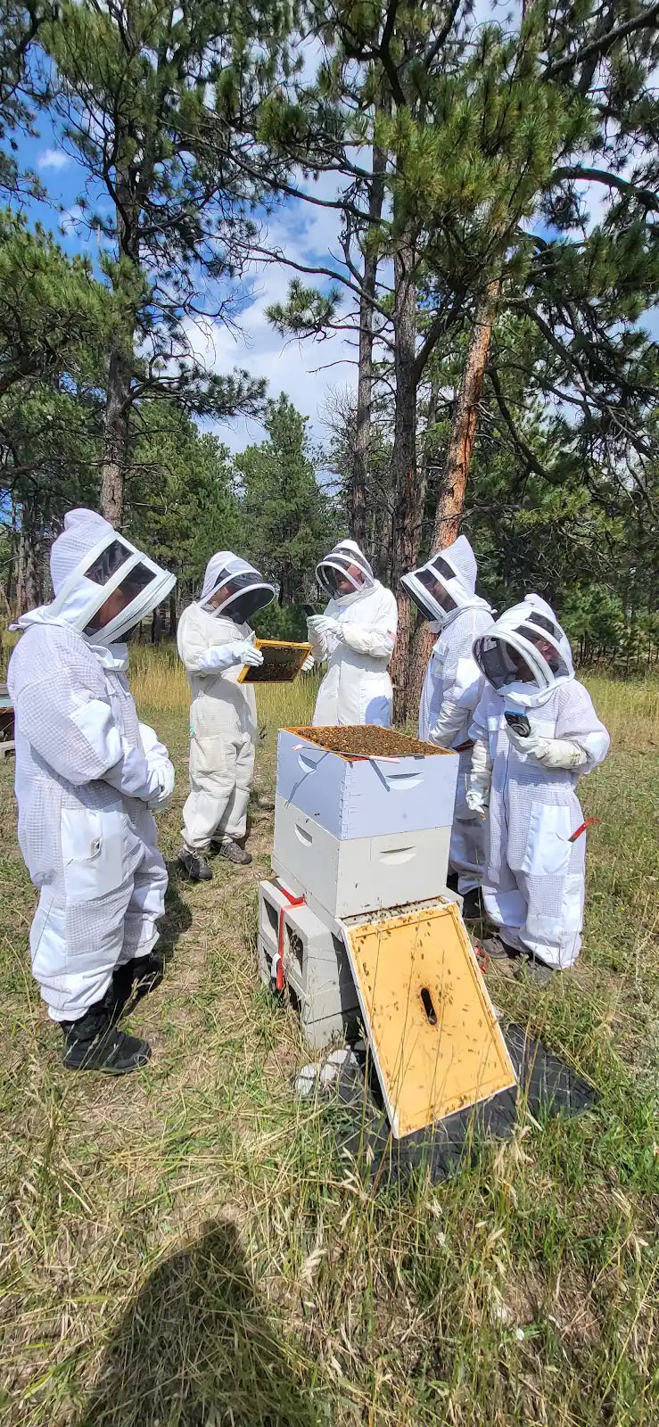 Kids Hive Painting Beekeeping Exploration