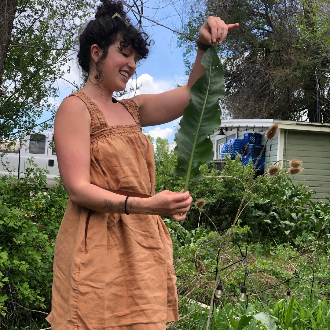 Smell School with Folk Herbalist Liz Faermark