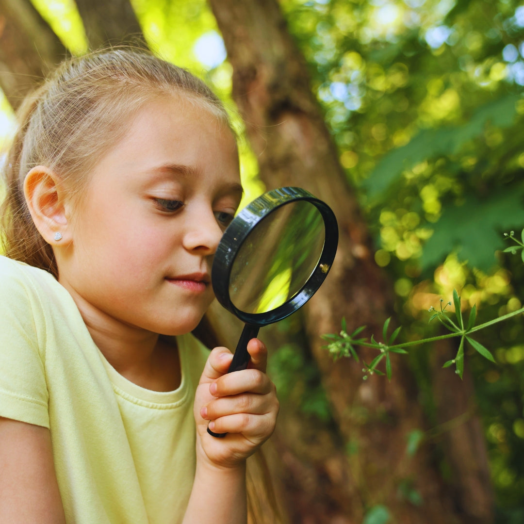 Plant Quest with Folk Herbalist Liz Faermark