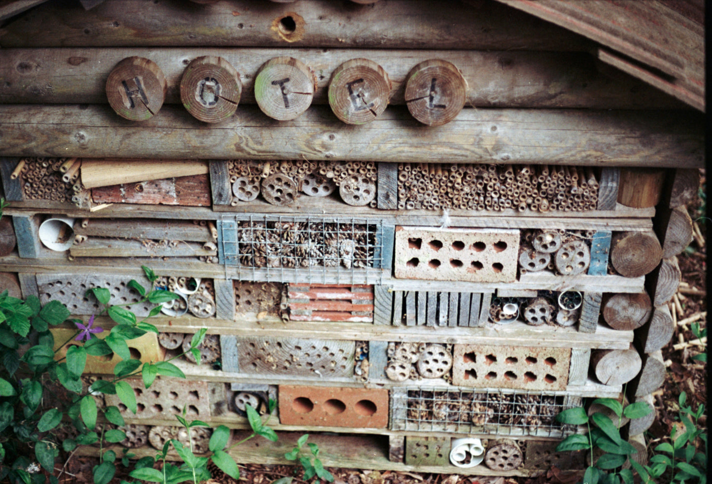 Make a Bug Hotel!