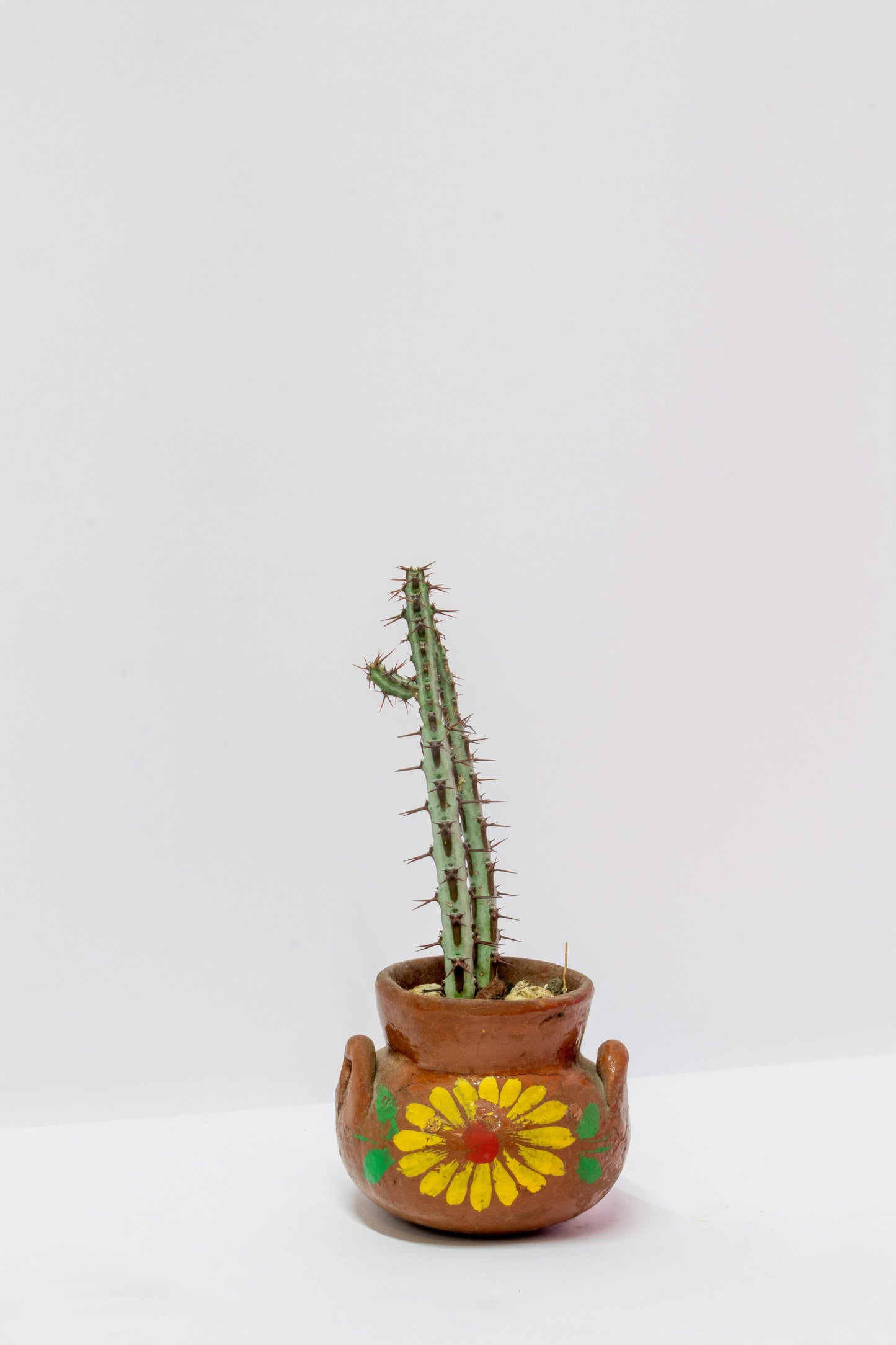 Planting and Painting Mexican Planters!