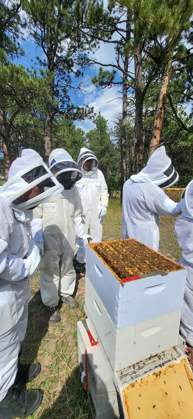 Kids Hive Painting  Beekeeping Exploration
