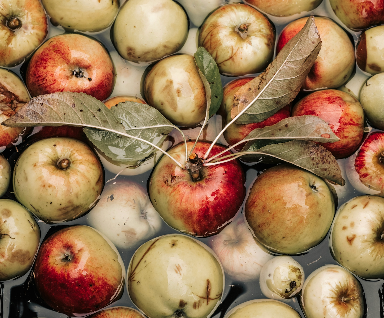 Apple Butter Canning Class