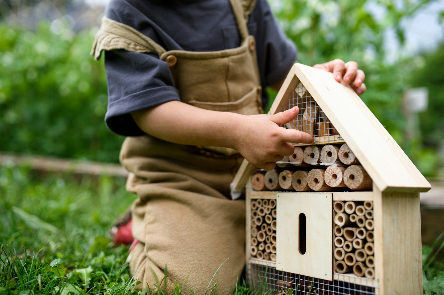 Make a Bug Hotel!