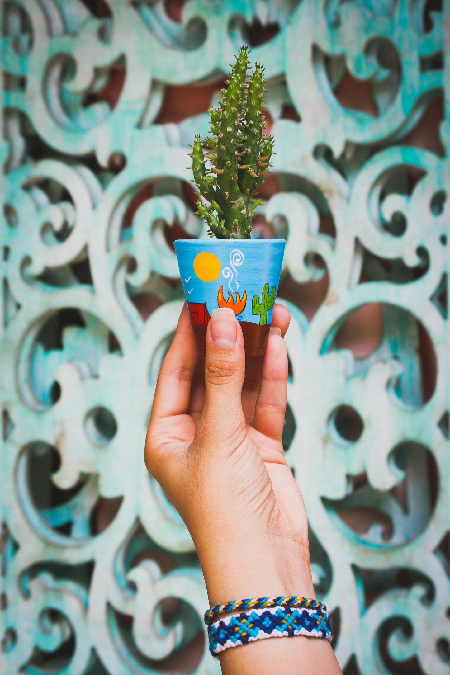 Planting and Painting Mexican Planters!