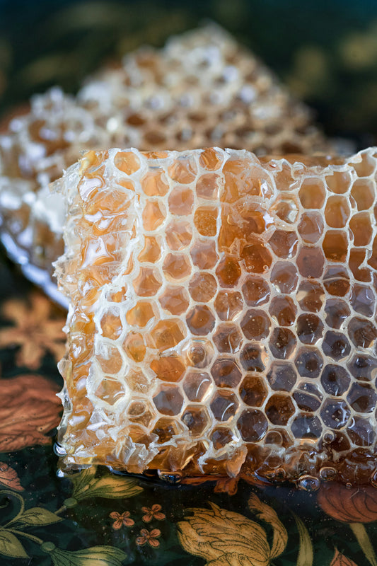 Kids Hive Painting  Beekeeping Exploration
