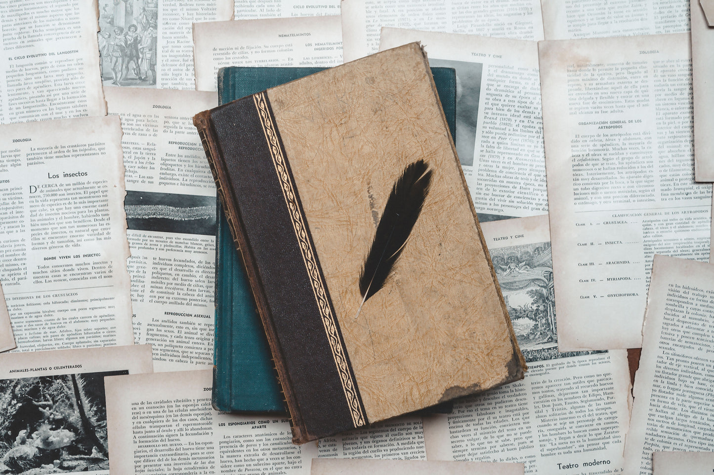 How to Write a Book!