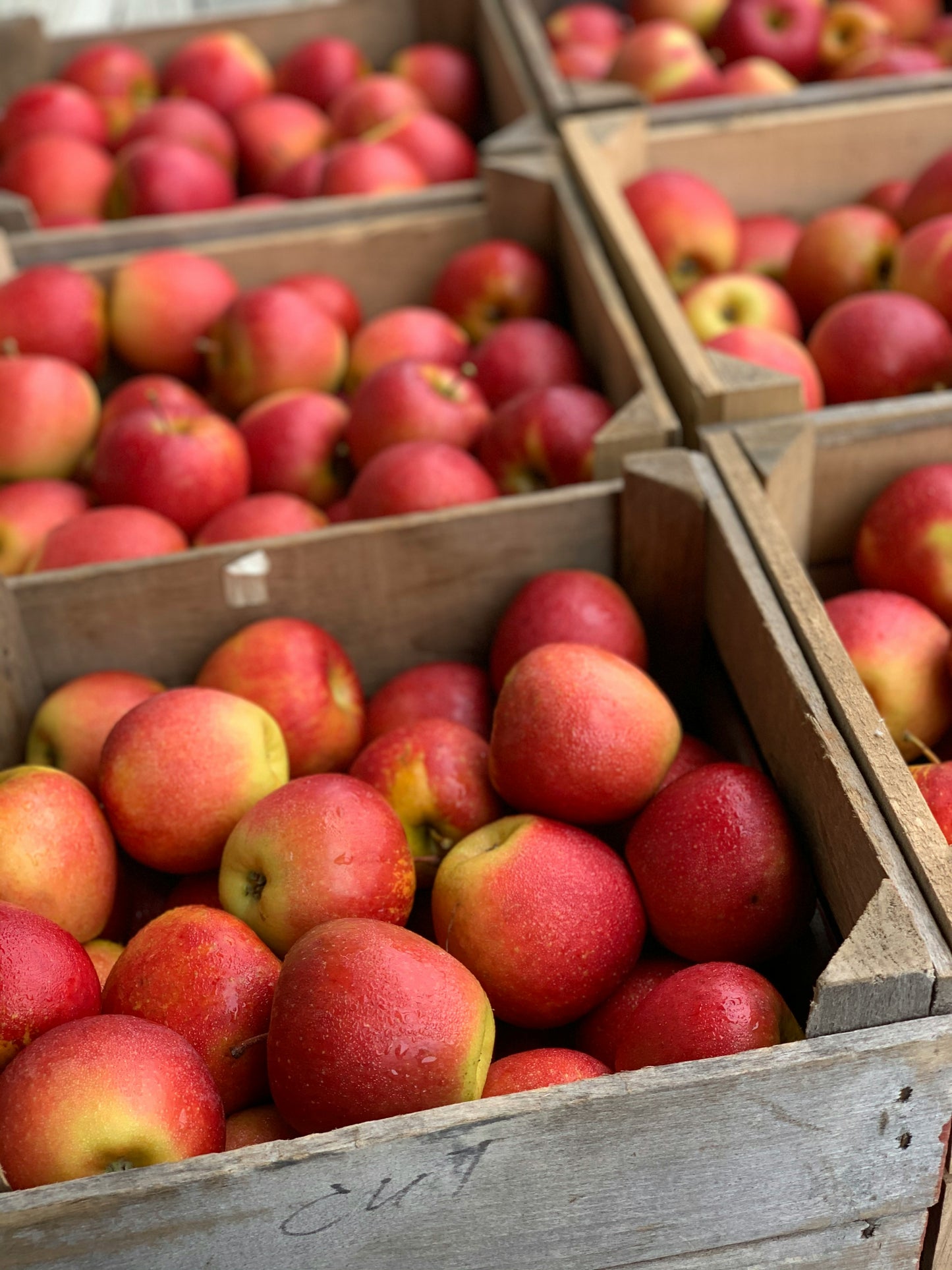 Woodworking: DIY Apple Crate